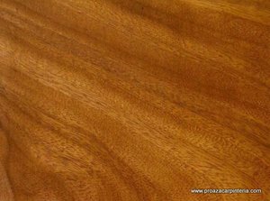 madera de iroco