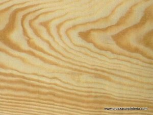 madera de pino norte