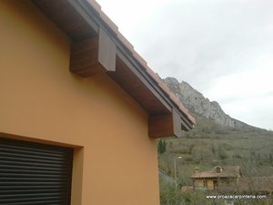 alero de castaño