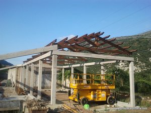 estructura de abeto
