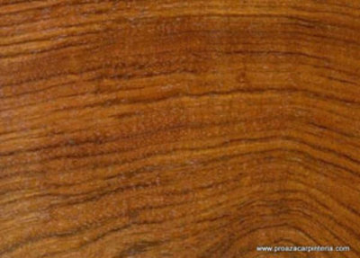Jatoba